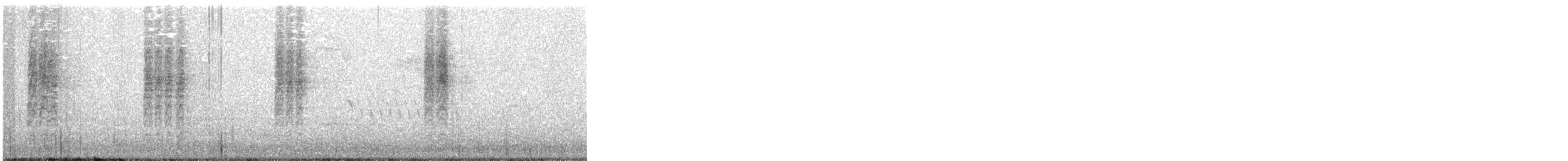 Troglodyte de Bewick (groupe mexicanus) - ML265041771