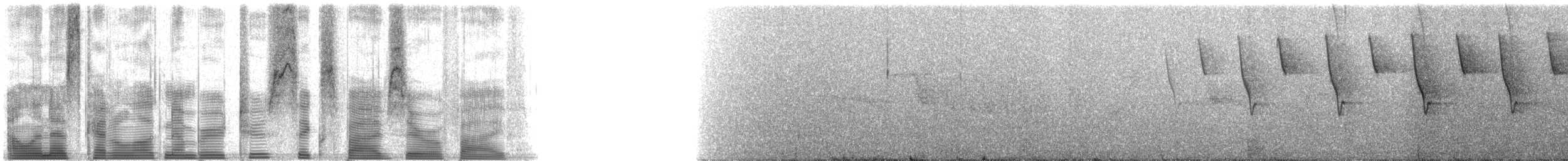 Tangara fourchu (darwinii) - ML26505