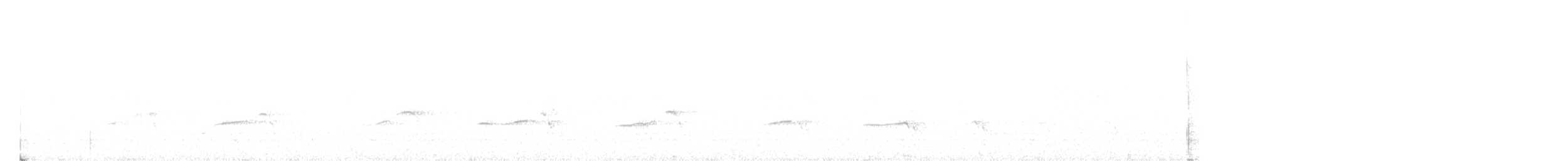 Белоголовый орлан - ML265120721