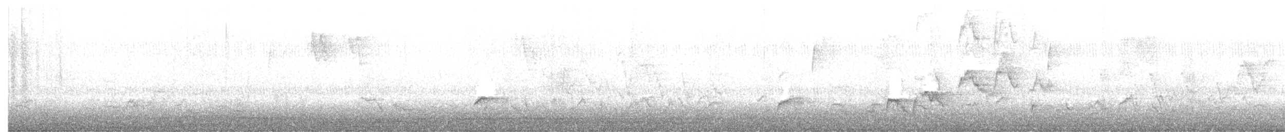 Дрізд-короткодзьоб Cвенсона - ML265187301