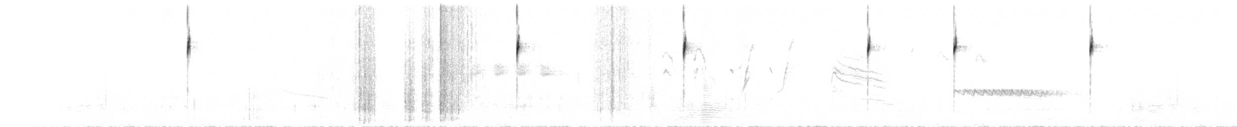 Black-throated Sparrow - ML265250121