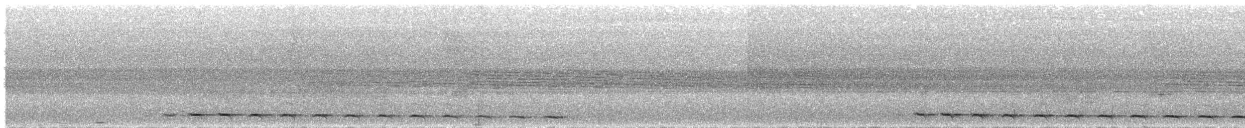 Diard Trogonu - ML265280101