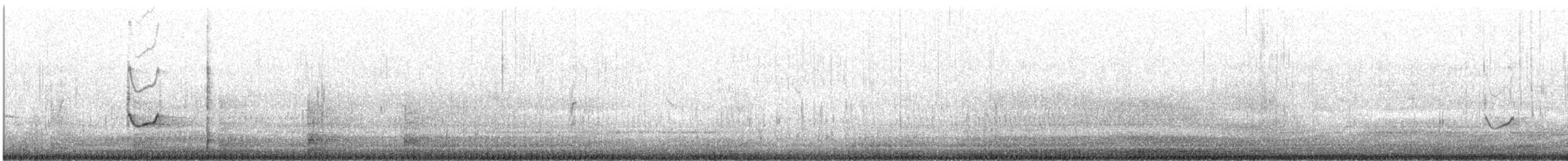 Archibebe Oscuro - ML265292601