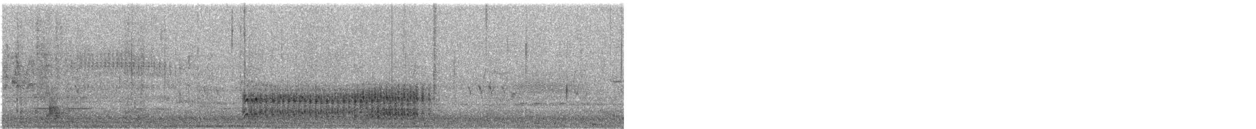 Polluela de Tongatapu - ML265310801