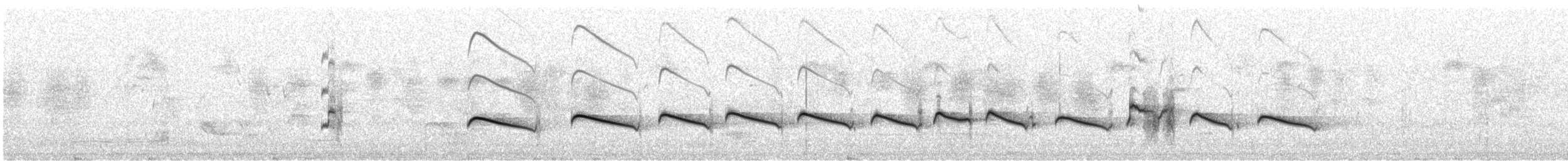 Cuclillo Broncíneo - ML265311021