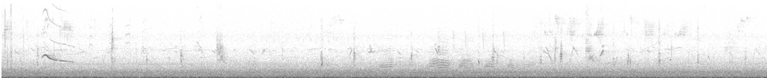 チャイロツキヒメハエトリ - ML265357521