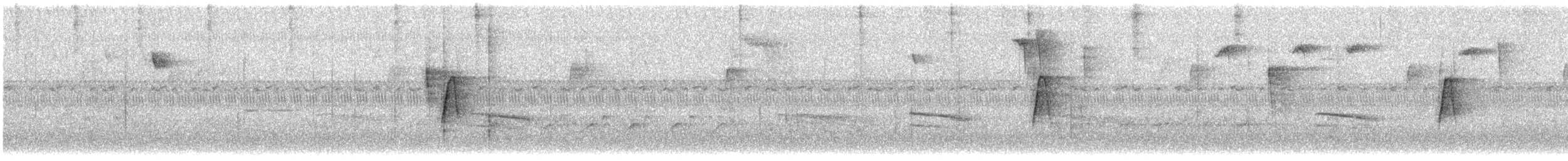 Empidonax sp. - ML265373131