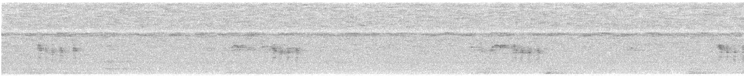 Antillennachtschwalbe - ML265377991