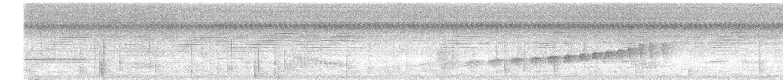 svarthakemaurvarsler - ML265385131