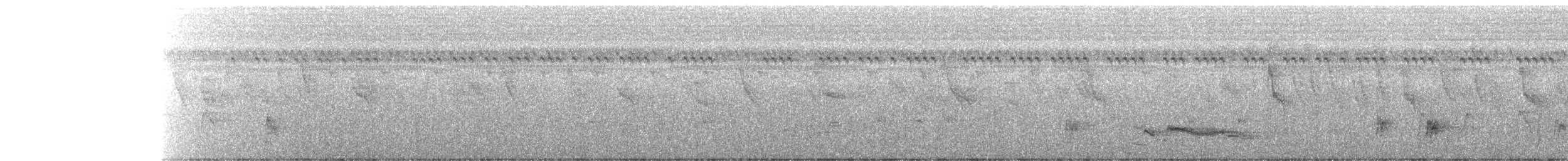 Spotted Buttonquail - ML265572711