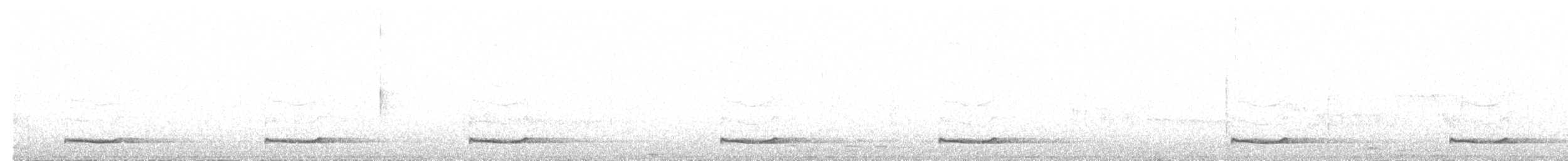 Bändernachtschwalbe - ML265591541