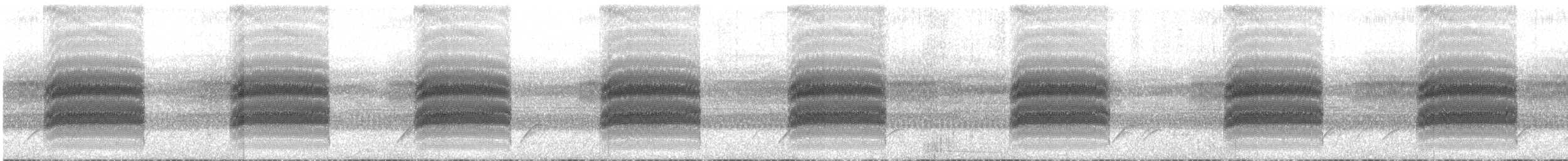 Villavicencio Snouted Tree Frog - ML265638