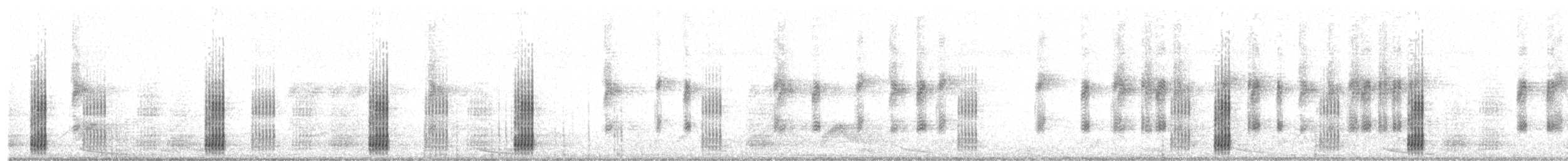 Venezuela Snouted Tree Frog - ML265640