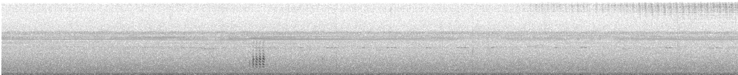 Caracas Snouted Tree Frog - ML265643