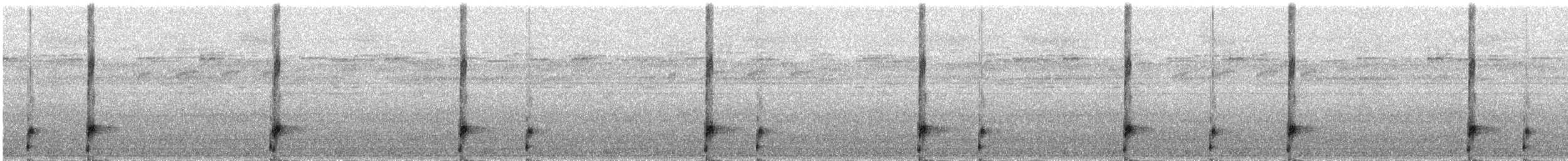 Neotropical Grass Frogs - ML265646