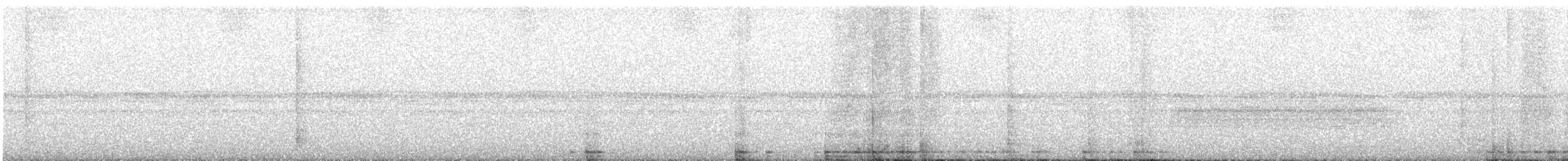 Snouted Tree Frogs - ML265647