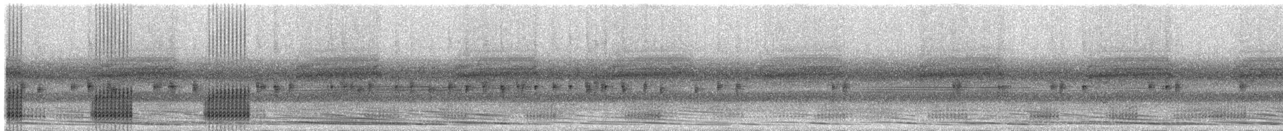 Red Snouted Tree Frog - ML265648