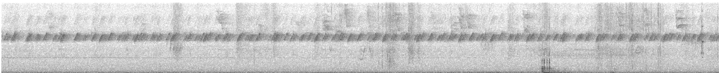 Nurse Frogs - ML265651