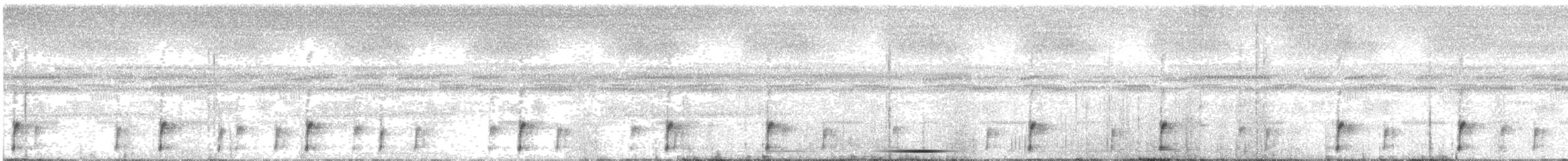 Smooth-skinned Ditch Frog - ML265652