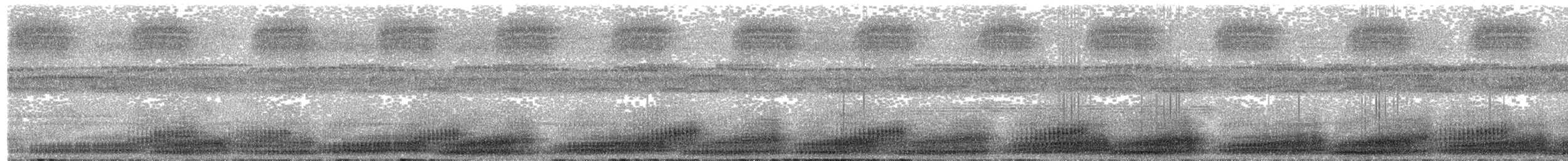 Manaus Spiny-backed Frog - ML265653