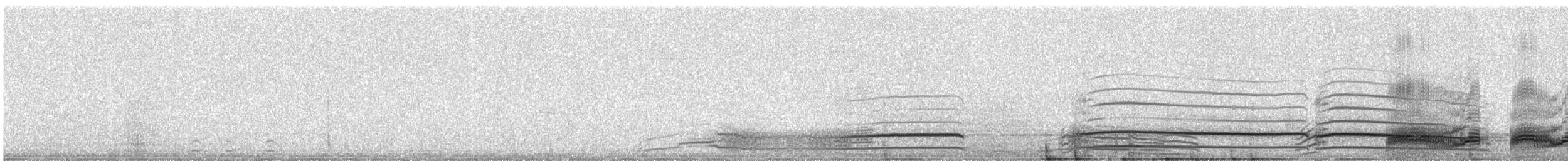 Plongeon catmarin - ML265715471
