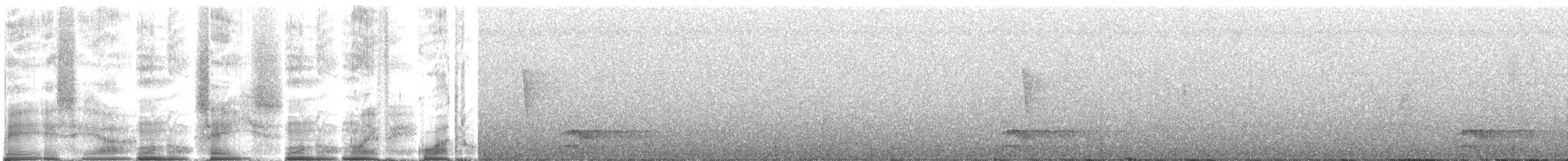 オビナシショウドウツバメ - ML265852