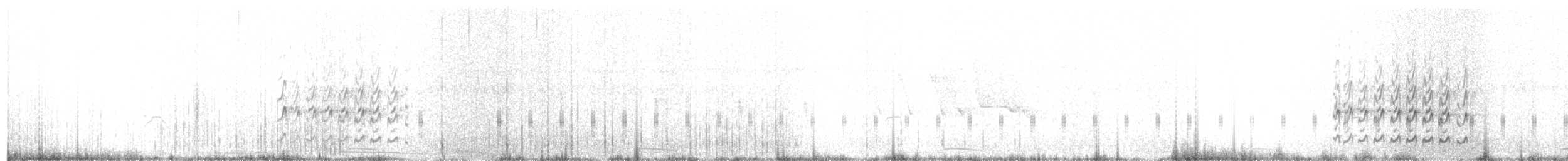 jespák srostloprstý - ML26585271