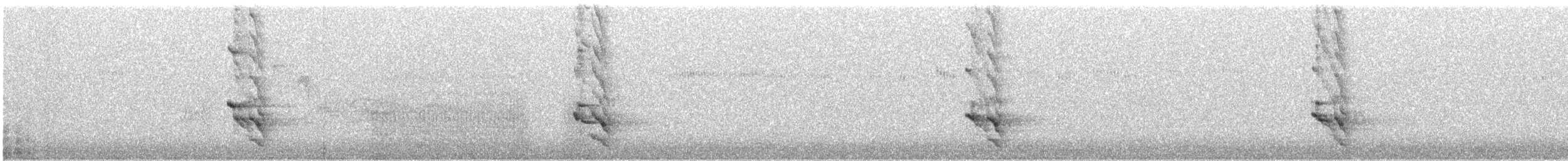 Шилоклювый дятел (luteus x cafer) - ML265893301
