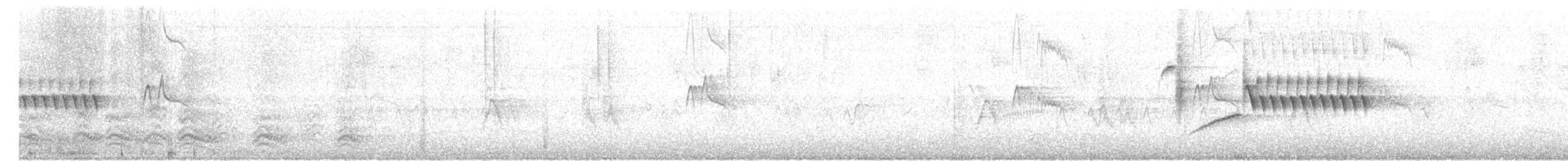 Bewick's Wren - ML265896001