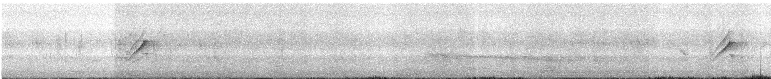 Длиннохвостая нектарница - ML265995561