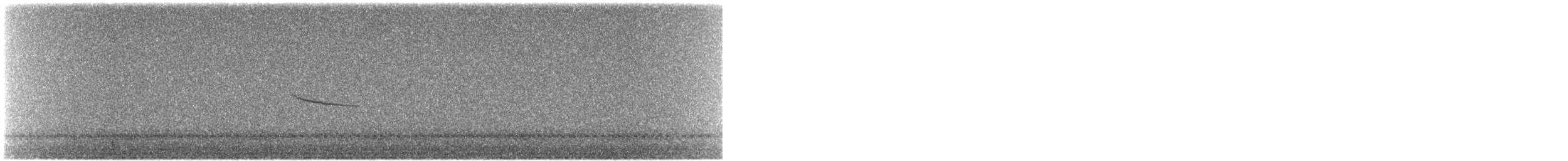 Hermit Thrush (guttatus Group) - ML266058981