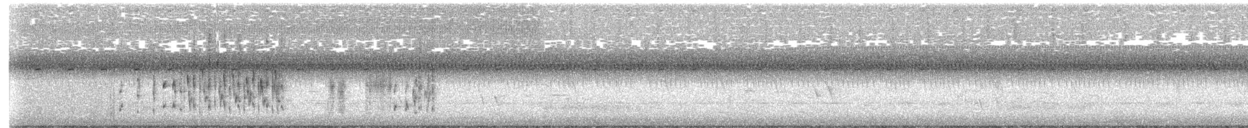 Sumpfzaunkönig - ML266075681