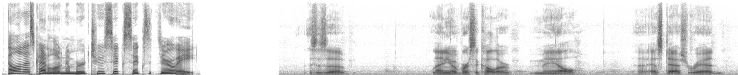 Weißschulter-Würgertangare - ML26608