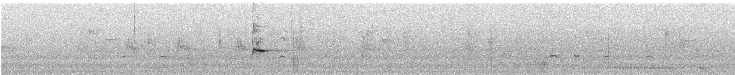 svarthettehonningeter - ML266141421