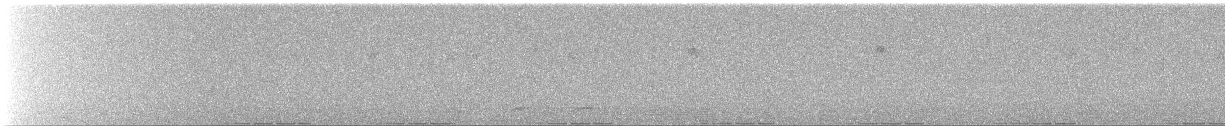 Черногрудая трёхперстка - ML266142281