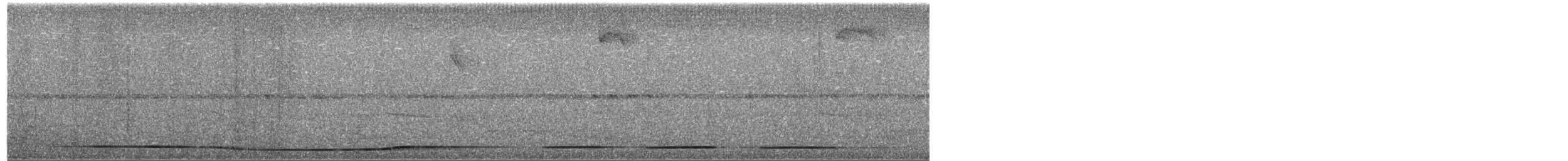 Tinamou noir - ML26616341