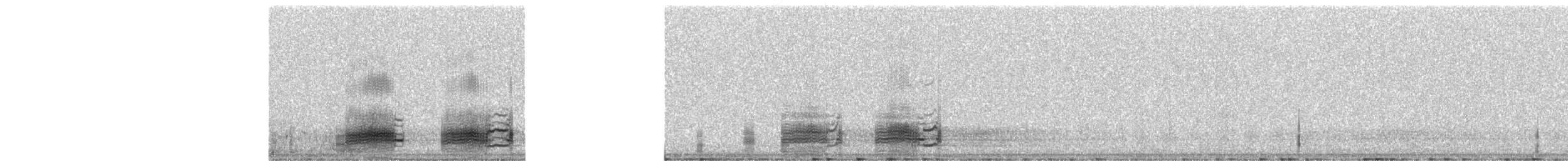 Red-throated Loon - ML266329371