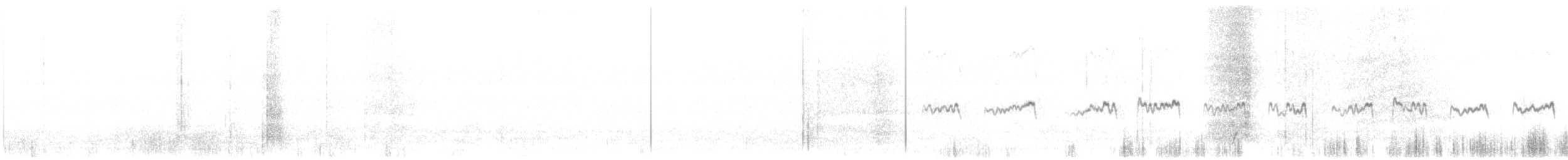 ペルーウミツバメ - ML266333741