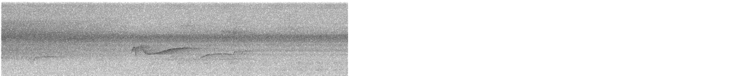 Doğulu Pivi - ML266348251