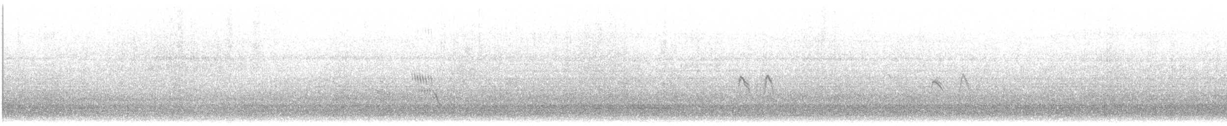 White-crested Elaenia - ML266367491