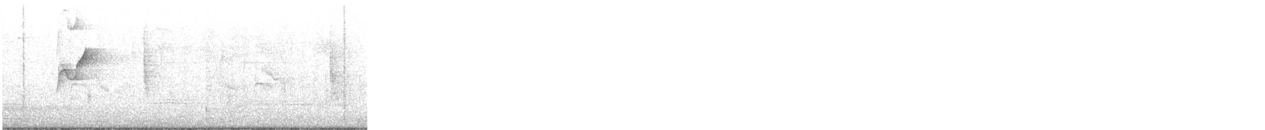 Moucherolle obscur (groupe difficilis) - ML266456021