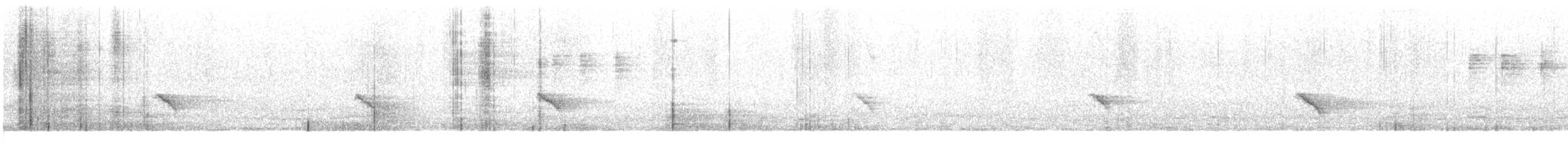 Iberian Chiffchaff - ML266498531