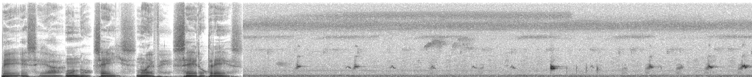Band-tailed Nighthawk - ML266561