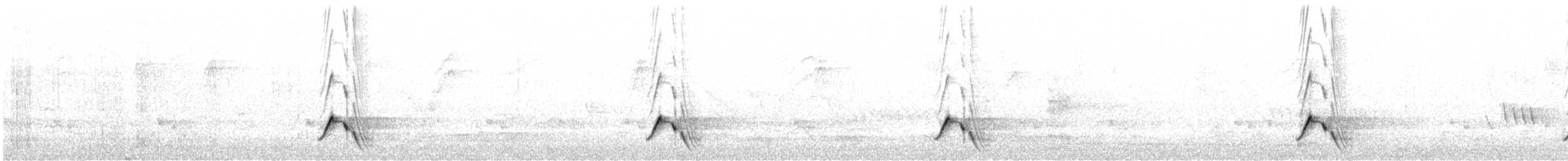 Streifenpanthervogel (striatus) - ML266649741
