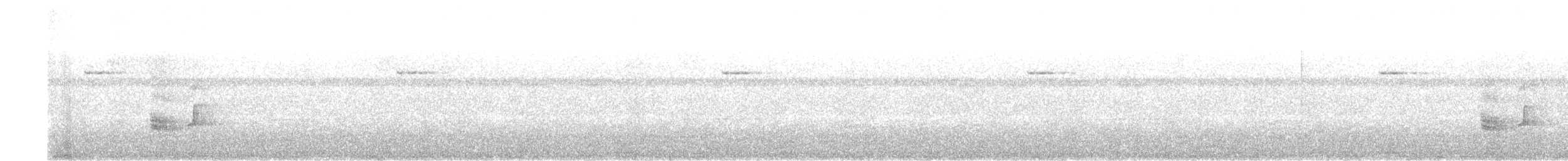 Манакін-стрибун карликовий - ML266702511