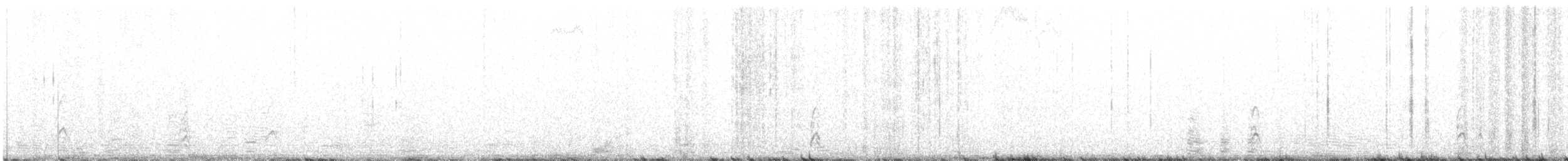 Meisenhäher (obscurus/griseus) - ML266726831