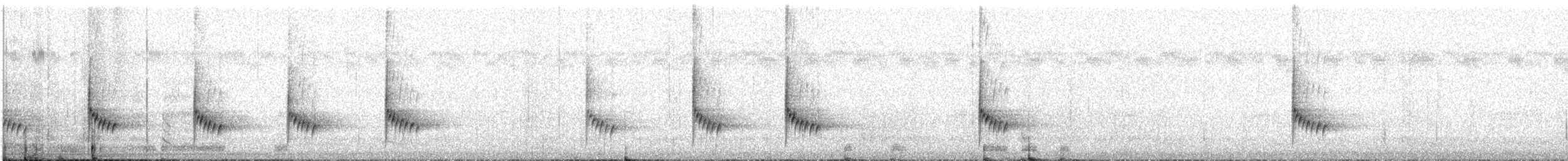 Carolinazaunkönig - ML266797571