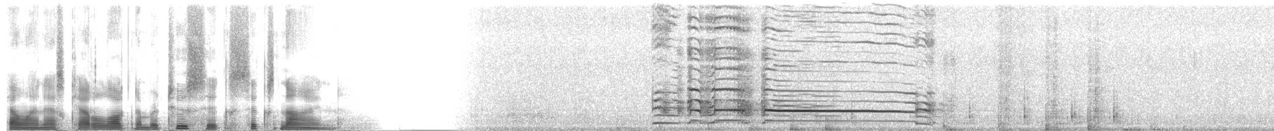 家雞(馴化) - ML2669