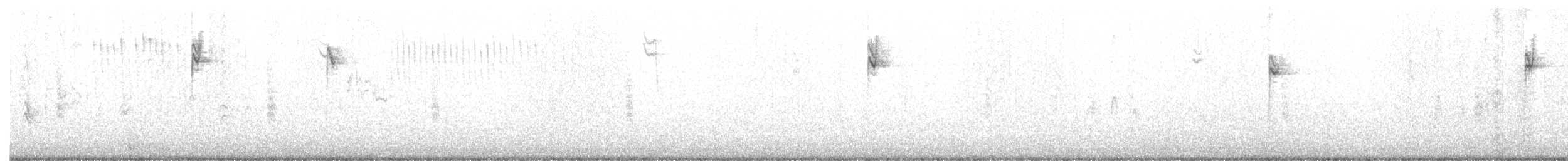 Porsuk Serçesi (nuttalli/pugetensis) - ML267006411