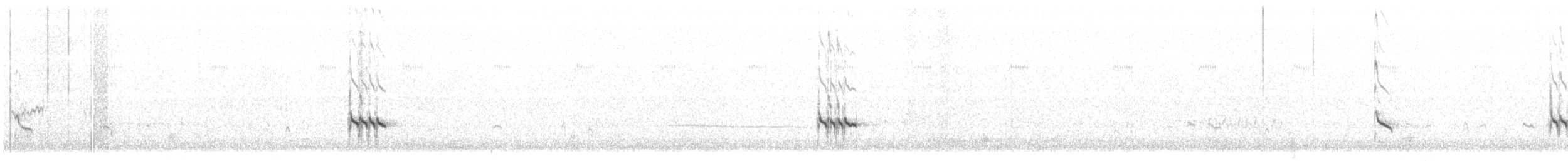 kortnebbekkasinsnipe - ML267023231